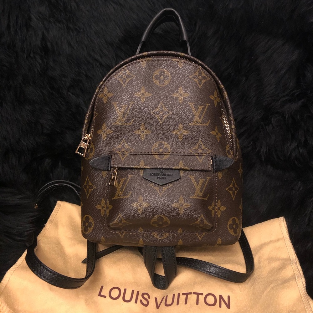 Louis Vuitton Palm Springs Mini Backpack